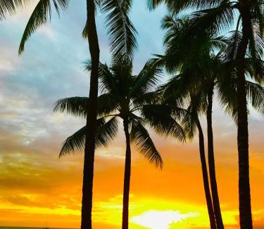 Waikiki Apartment | WAIKIKI 2 BEDROOMS, 1 BATH, FREE PARKING, SLEEP 6