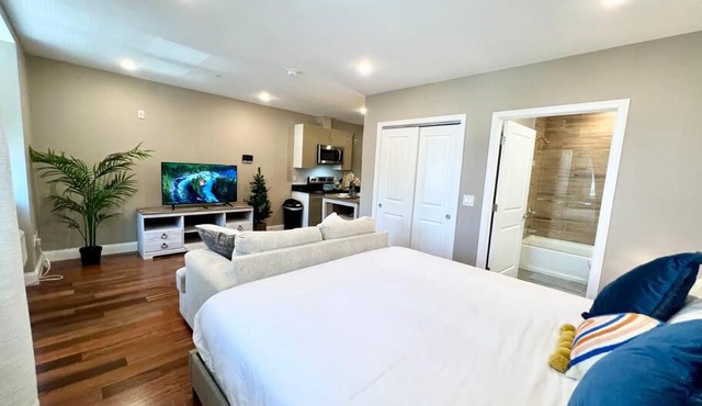 403 Luxury and Comfy King bed in Central city of phily