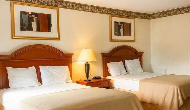 Best Find! 3 Budget-Friendly Units, Offers FREE Breakfast & FREE Parking! in Palmyra