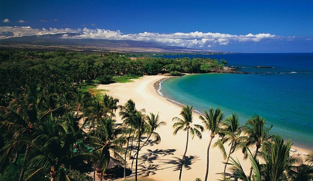 BEST PLACE TO STAY! Close to Kamuela Town and World Class Beaches!