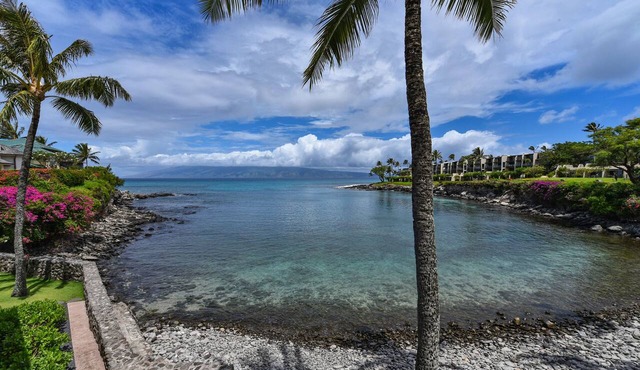 Breathtaking Cove Front Beauty in Napili