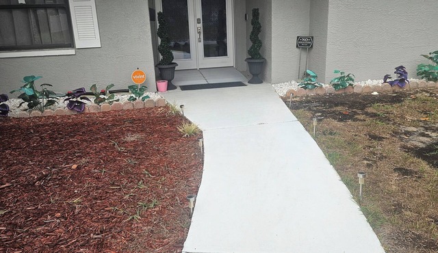 Charming & Beautiful Pet friendly Pool home in Spring Hill, Florida in Spring Hill