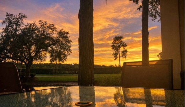 Corner Unit Pond View Retreat | Ground Floor | Patio | Optional Saddlebrook Resort Amenities