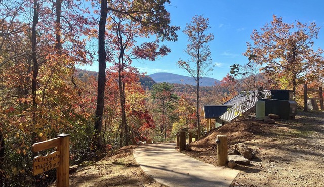 Cozy mountain cabin for two - just 21 minutes from downtown Asheville