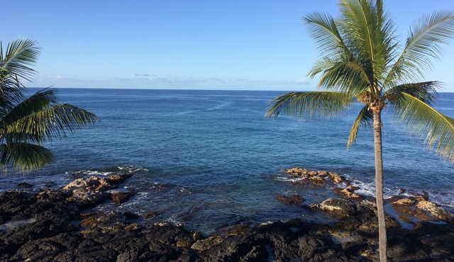 D35 Kona Reef - True Oceanfront & Top Floor! AC throughout!