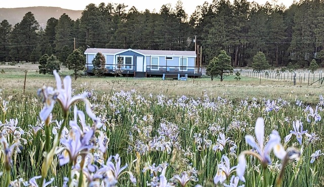 Hays Hideaway in Alpine