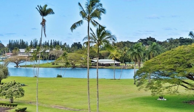 Hilo Lagoon Studio with cool AC, Amazing Views, Wi-Fi, Pool
