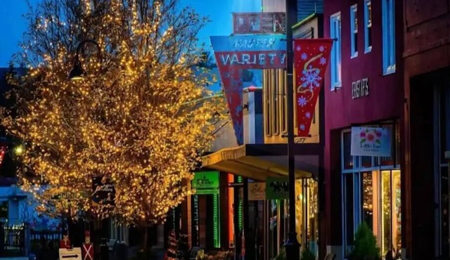 Historic Downtown Oak Harbor Beach getaway#1