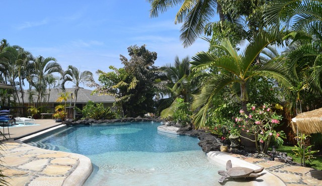 Kona Oasis: Private Backyard & Beach-Entry Pool