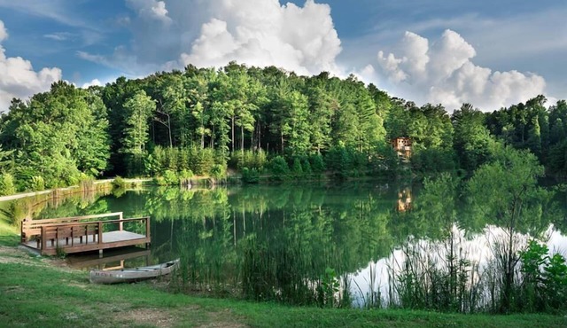Lake Cabin in beautiful wooded setting overlooking crystal clear lake. in Rogers