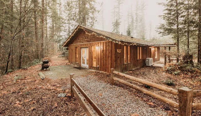 Maple Falls Cabin #82 - Wood Stove - WiFi - Pets Ok in Maple Falls