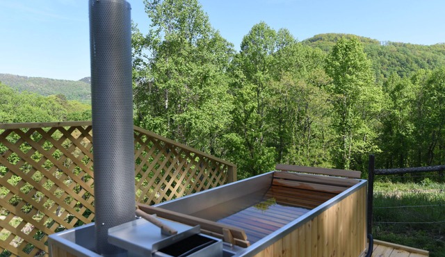 Oakhaven: Mountain Escape with Wood Burning Hot Tub! in Hendersonville