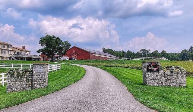 Peaceful Studio on Horse Farm - Hike, Relax, Explore! in New Gloucester