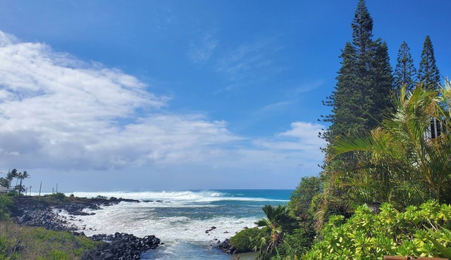 Poipu Beach Kauai Honeymoon: View Sea Turtles From Your Oceanfront Deck-AC