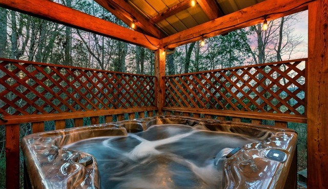 Private Hilltop Cabin Hot Tub, Arcade & Fire Pit in Townsend