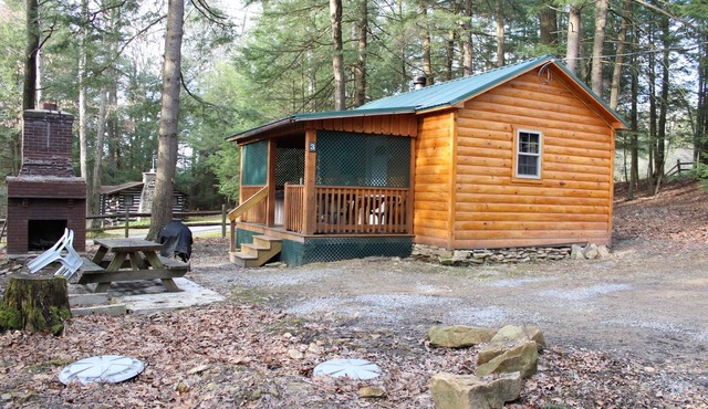Quaint Couples Cabin ~ NO PETS