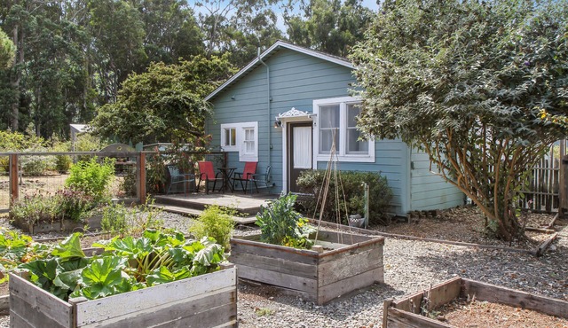 Quiet, quaint, quintessential cottage in Solitude with kitchenette & free WiFi in Albion