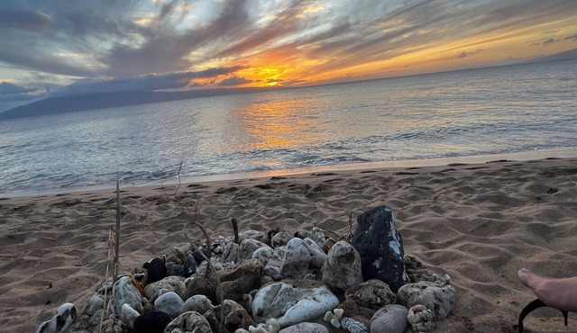 Quiet Retreat Largest 2/2 Villa sleeps 6 Maui’s Best Beach!