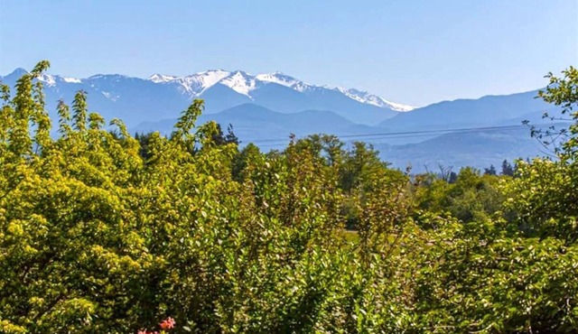 Rabbit's Peaceful Retreat with Stunning Views in Sequim