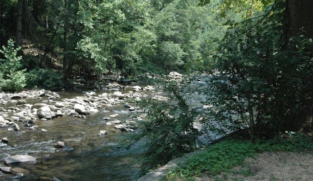 River View Cabin/Steps to River Access/Walk to Downtown Gatlinburg/Hot Tub+Sauna in Gatlinburg