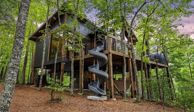 Spectacular Cabin with Incredible Living Areas Cherry Log, Georgia in Cherry Log