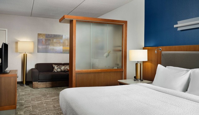 Springhill Suites by Marriott Pittsburgh Mt. Lebanon in Pittsburgh