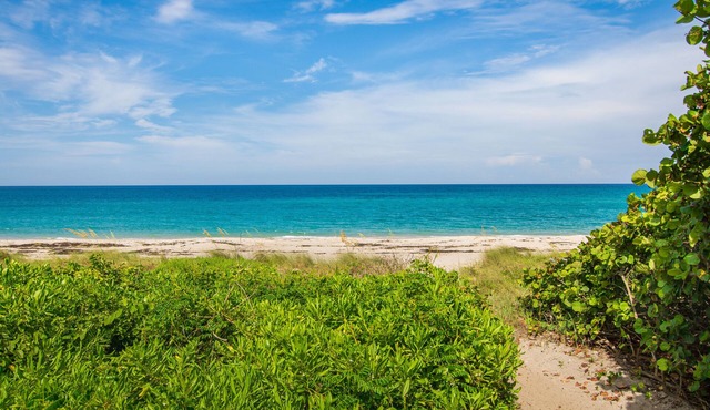 Steps to Pristine Beach. Prime Location. Hidden Gem. in Juno Beach