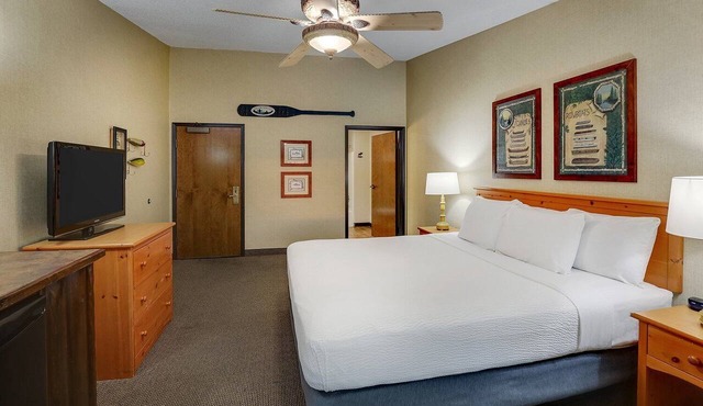 Stoney Creek Moline | 1 King Bed | 4.5 mi to Putnam Museum and Science Center in Moline