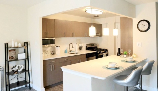 Stunning Spacious 2bd Apt w/ King Bed - Downtown/5 Min To DC/Free Garage Parking in Silver Spring