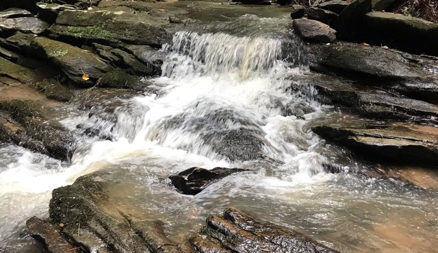 Summer Discount! River & creek, waterfall, hot tub, fire pit, dogs OK in Demorest