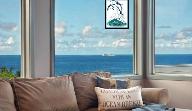 The Dolphin Hale - Deluxe Ocean View family home full of ALOHA!