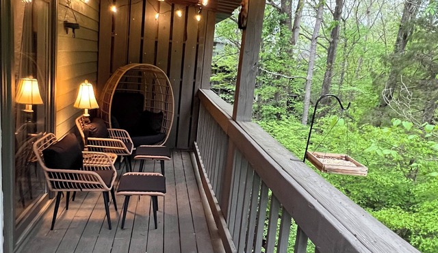 The Eagle's Nest & Bird Watching in Bloomington