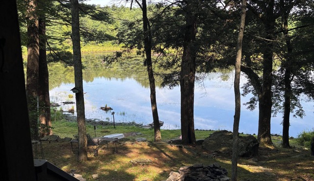 Tranquil 2-bedroom cabin in On Pond In Hawley perfect for getaway in Hawley