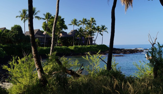 Unique Oceanfront Home in Enclosed Area