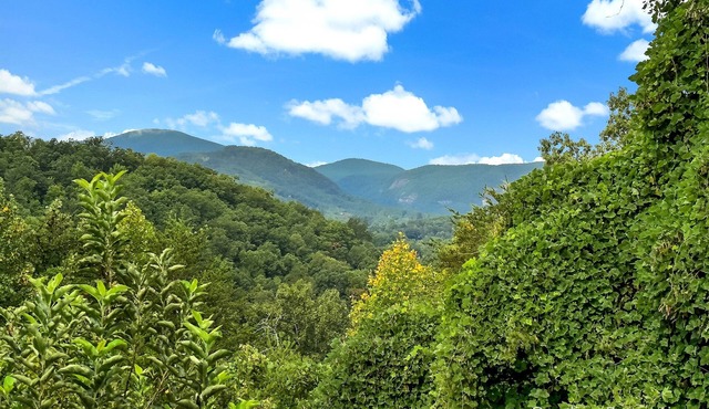 Views, Mirror Lake Access, Wood Fireplace - Juve' Cabin by Carolina Properties