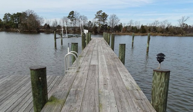 Waterfront Family Home, Pool, Poolhouse, Zip Line, Hot Tub, Trampoline. in Royal Oak