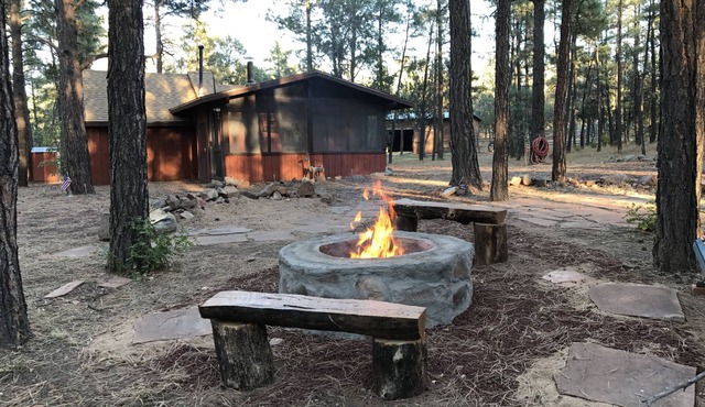 Wild Saddle Ranch Cabin-Our gate opens to the Sitgreaves National Forest! in Show Low