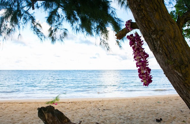 Kahena Wai Cottage - Great mountain views and sandy beach near the property!