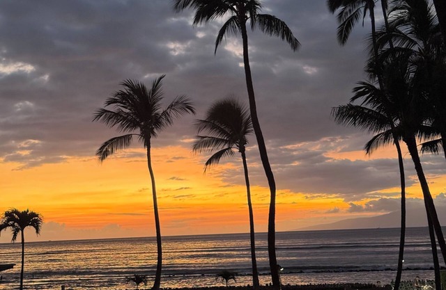 Oceanfront 2BR 2BA Kihei Maui–Stunning Lanai Sunsets, Beach Front, Turtles!