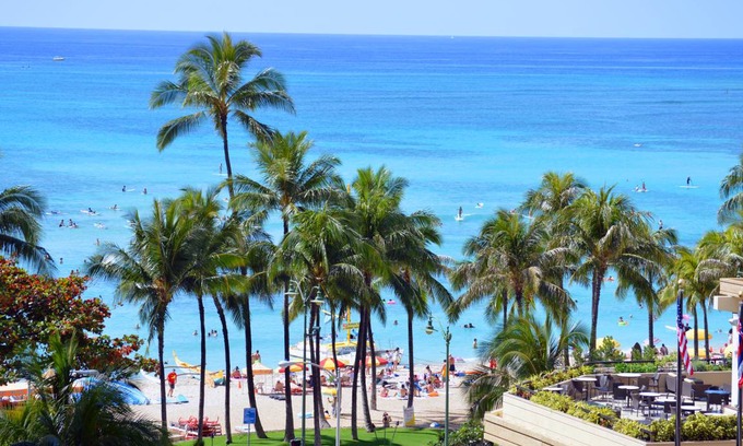 Waikiki Condo | 31 m² Condo ∙ 1 bedroom ∙ 2 guests