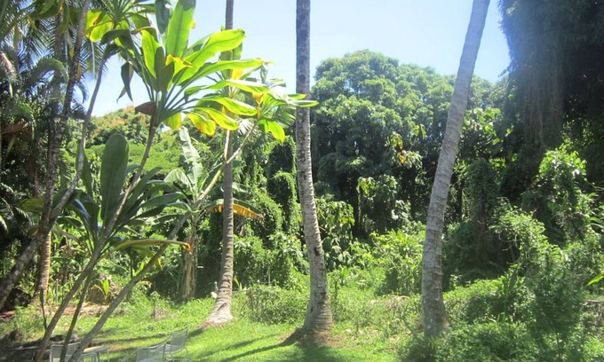 Kehena Beach Estates House | House ∙ 1 bedroom ∙ 2 guests