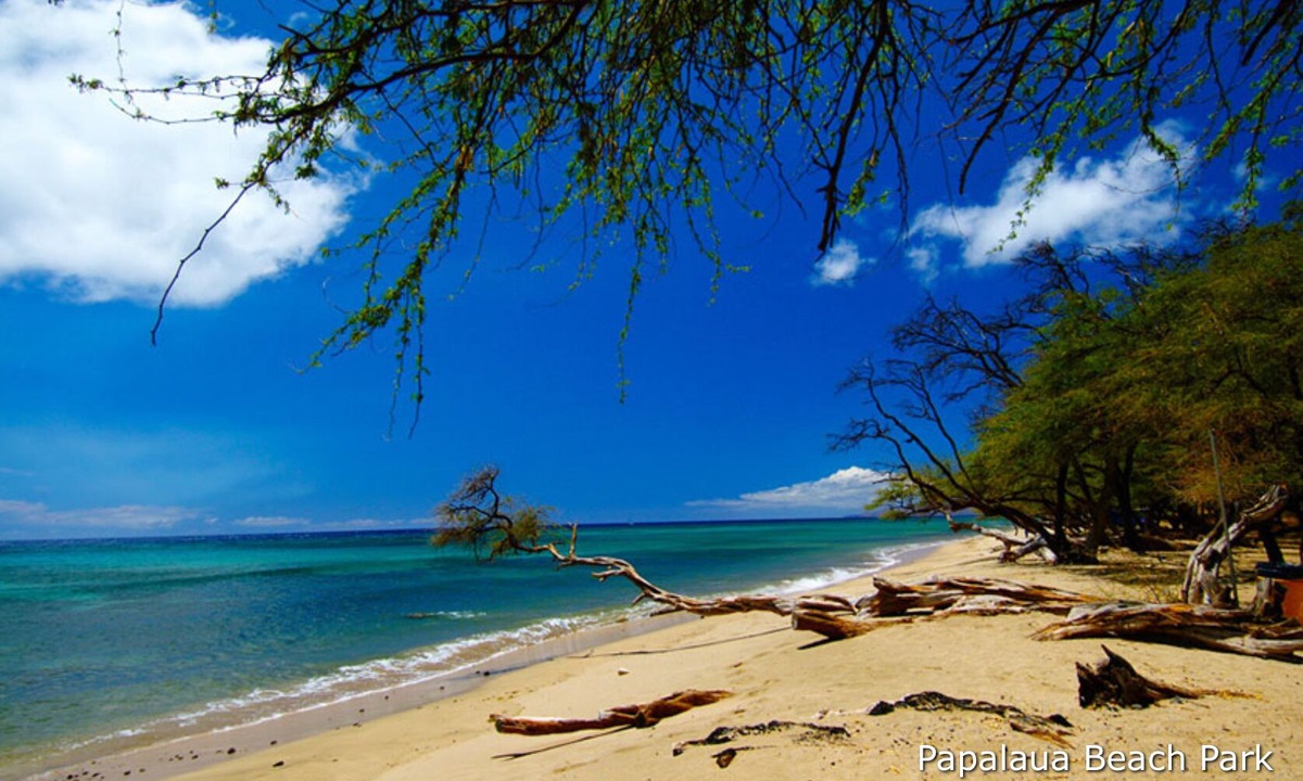Pauwela House | Embark on a journey through Maui with Aloha Glamp