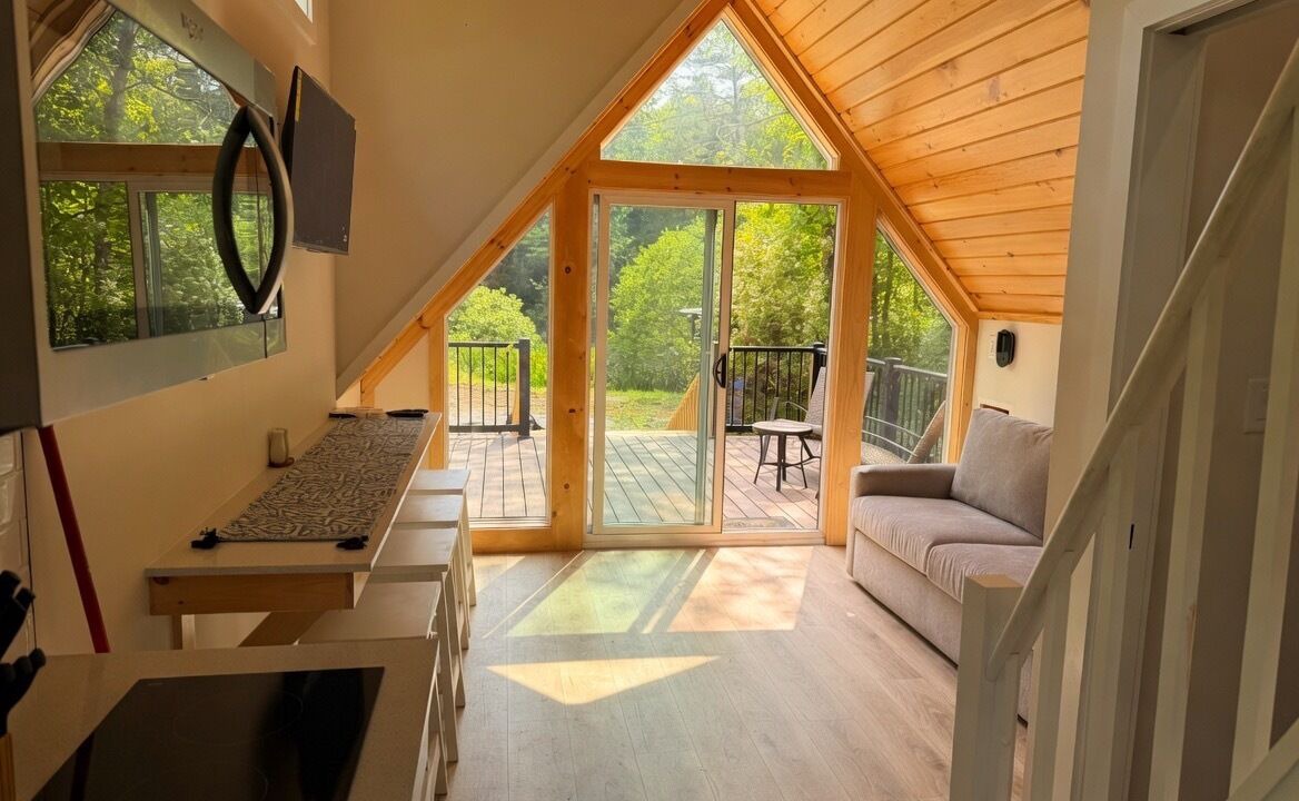 Woodfin Cabin | New A-Frame Tiny Home - Private Pond, Deer at Dusk - Asheville Mountain Escape