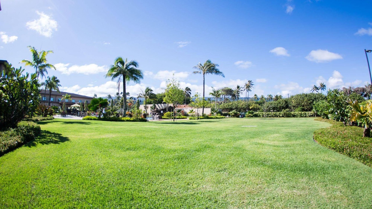 Photo of Others in Laie