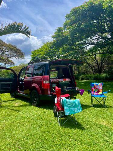 Photo of Others in Kihei