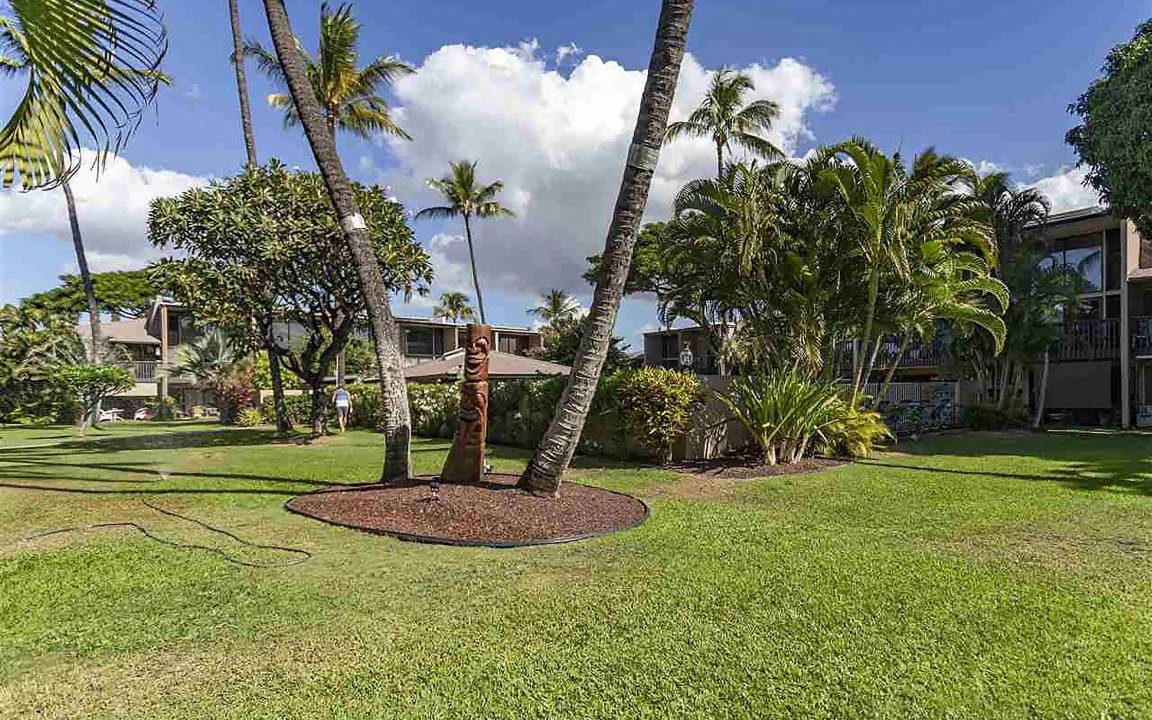 Photo of Others in Kihei