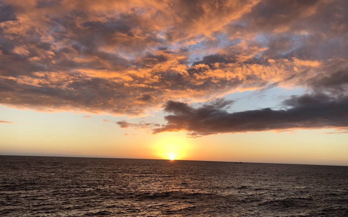 Photo of Others in Kahaluu Bay