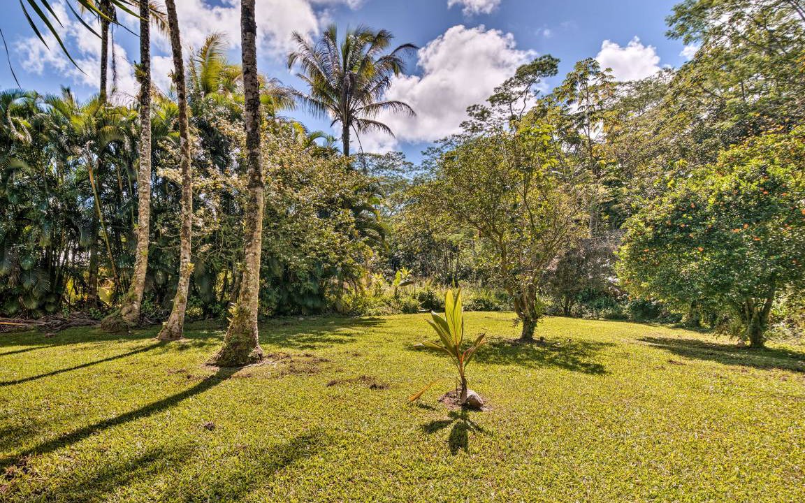 Photo of Others in Kapoho