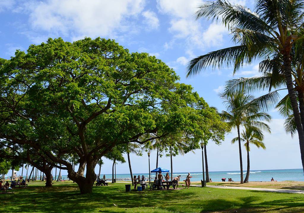 Photo of Others in Waikiki