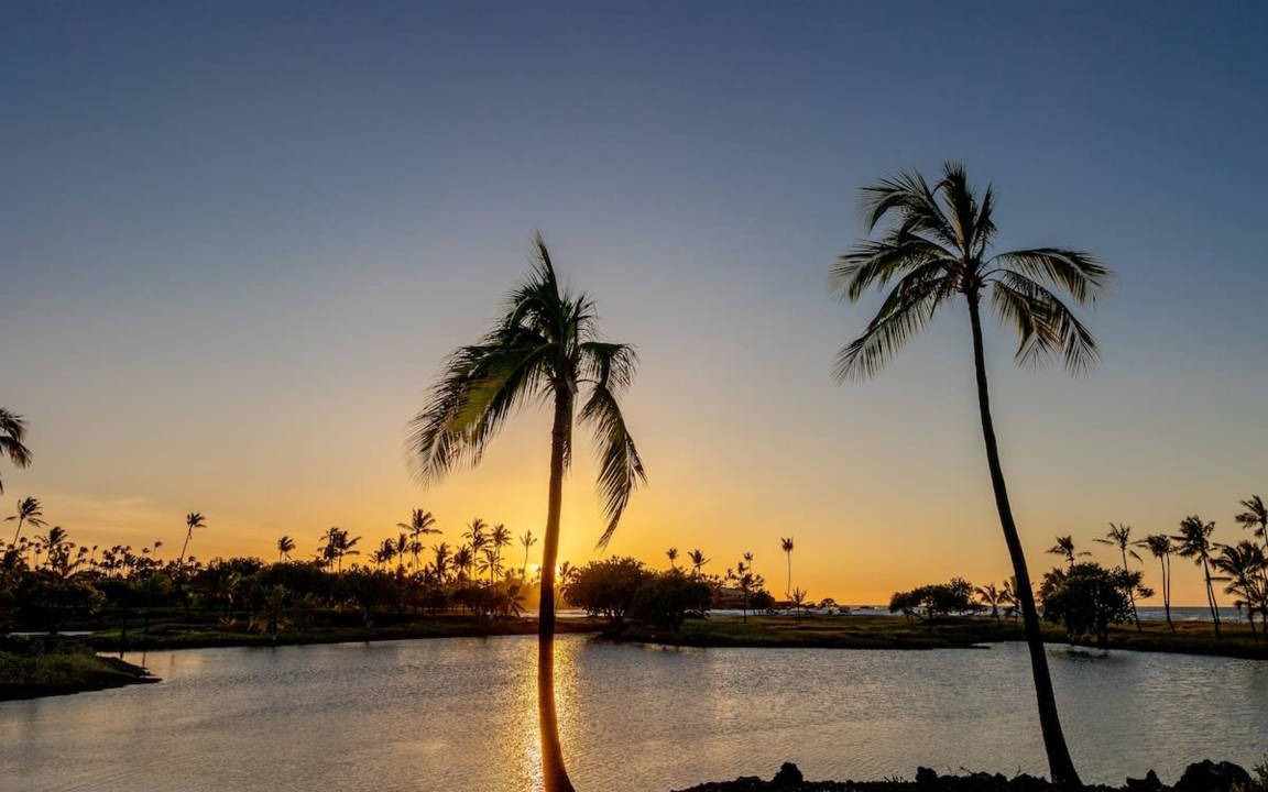 Photo of Others in Kahaluu Bay